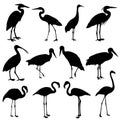 Storks, cranes and flamingos silhouettes collection Royalty Free Stock Photo