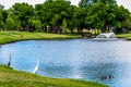 Storks and Ducks Royalty Free Stock Photo