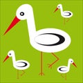 Storks family on green background