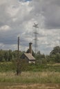 The storks in the field.