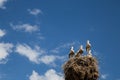 Storks Nest Blue sky