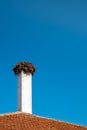Storks nest on a chimney Royalty Free Stock Photo
