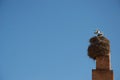 Storks and nest on a chimney Royalty Free Stock Photo