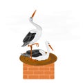 Storks and nest on a chimney vector Royalty Free Stock Photo