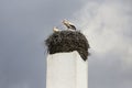 Storks nest on fireplace chimney Royalty Free Stock Photo