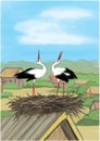 2 storks in nest on the house, illustration