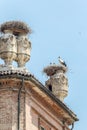 Storks nest in Racconigi Castle. Royalty Free Stock Photo