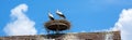 Storks in nest on roof in city, couple of white birds on sky background