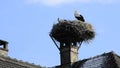 Storks in a nest on a roof in the village of Selz