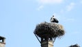 Storks in a nest on a roof in the village of Selz