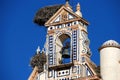 Storks nesting on church bell tower, Ecija, Spain.