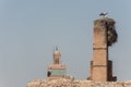 Storks on roof of El Badi Palace Palais El Badi in Marrakech , Royalty Free Stock Photo
