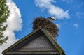 Storks sit in the nest on the roof in the summer Royalty Free Stock Photo