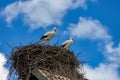 Storks sit in the nest on the roof in the summer Royalty Free Stock Photo