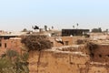 Storks on the walls of El Badi Palace