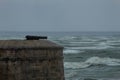 A Storm around a Cannon on a Turret on the Irish Coast
