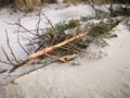 Storm in the Baltic Sea