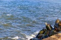 Storm in the Baltic sea. Storm waves crashing on the breakwater in Darlowo, Poland Royalty Free Stock Photo