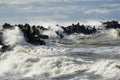 Storm in the Baltic Sea, waves hitting the breakwater concrete tetrapods Royalty Free Stock Photo