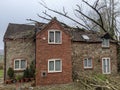 Storm blew down tree house smashing roof Royalty Free Stock Photo