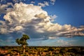 Storm brewing over the outback Australia Royalty Free Stock Photo