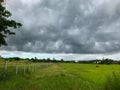 Storm cloud and rice field Royalty Free Stock Photo