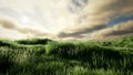 Storm clouds above meadow with green grass Royalty Free Stock Photo