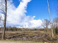Storm clouds above fields and forest of Lithuania Royalty Free Stock Photo