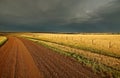 Storm clouds along a Saskatchewan road Royalty Free Stock Photo