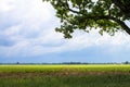 Storm clouds approaching over farmland Royalty Free Stock Photo