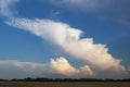 Storm clouds in the blue sky over a field of wheat Royalty Free Stock Photo