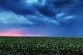 Storm clouds flying over field