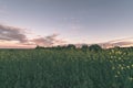 storm clouds forming over the countryside - vintage retro look Royalty Free Stock Photo