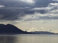 Storm clouds forming over Icy Straight in Southeast Alaska with seagulls