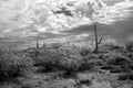 Storm clouds forming Sonora Desert Arizona in Infrared