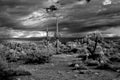 Storm clouds forming Sonora Desert Arizona in Infrared