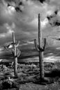 Storm clouds forming Sonora Desert Arizona in Infrared