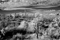 Storm clouds forming Sonora Desert Arizona in Infrared