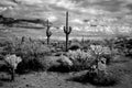 Storm clouds forming Sonora Desert Arizona in Infrared