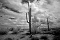 Storm clouds forming Sonora Desert Arizona in Infrared