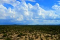 Storm Clouds Forming Sonora Desert Arizona Royalty Free Stock Photo