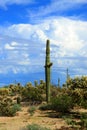 Storm Clouds Forming Sonora Desert Arizona Royalty Free Stock Photo