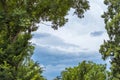 Storm clouds framed by a green treeline