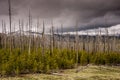 Storm Clouds on Mount Washburn