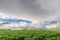 Distant showers and storm clouds over agricultural landscape