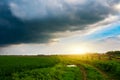 Storm clouds over the field Royalty Free Stock Photo