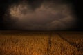 Storm clouds over field Royalty Free Stock Photo