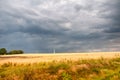 Storm clouds over the field of golden wheat Royalty Free Stock Photo