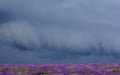 Storm clouds over a field Royalty Free Stock Photo