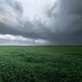 Storm clouds over a field